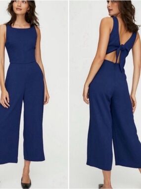 Aritzia Wilfred Jumpsuit